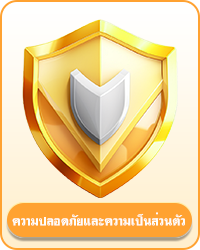 ความปลอดภัยและความเป็นส่วนตัว